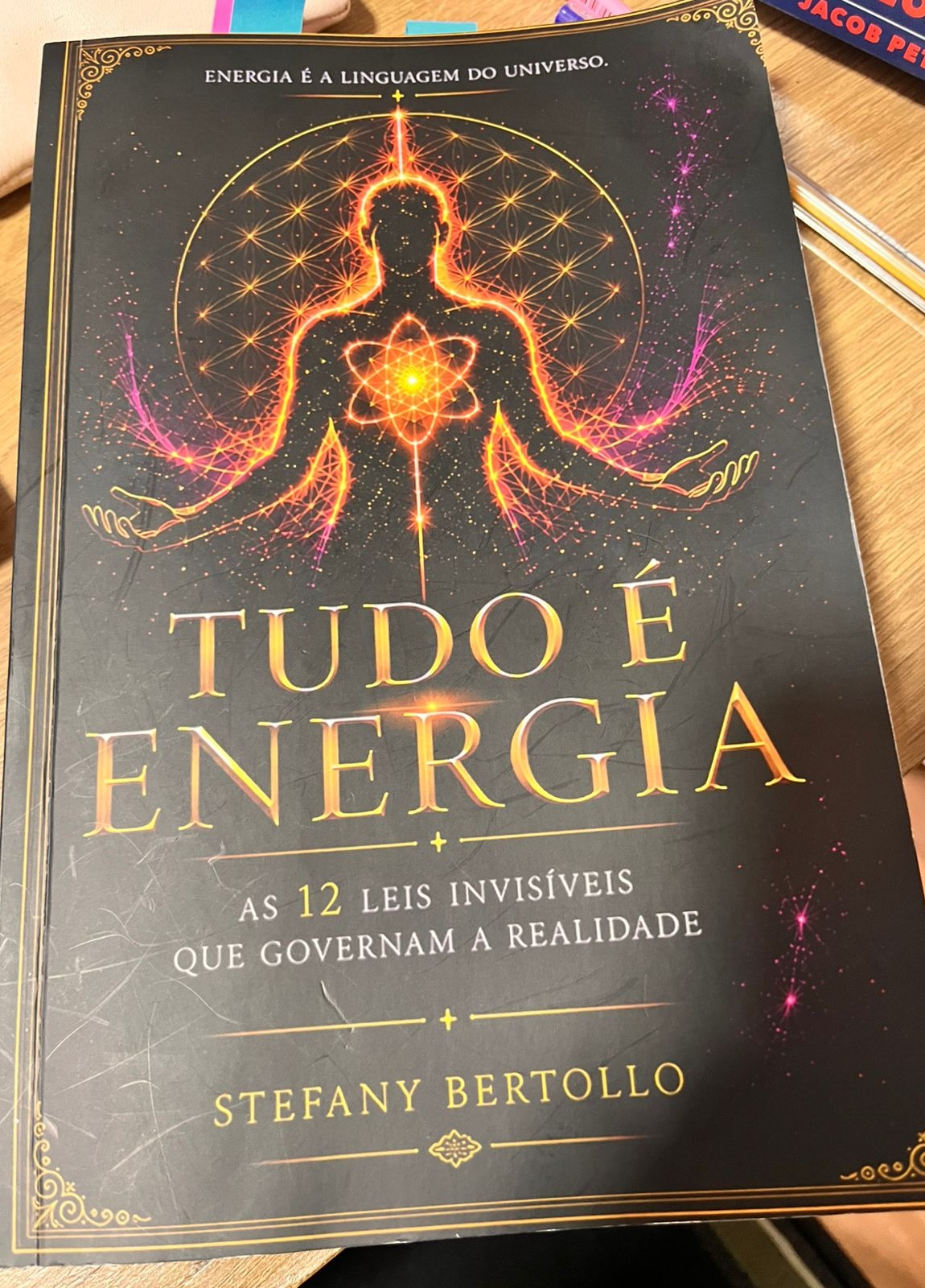 Exemplar físico do livro Tudo é Energia, de Stefany Bertollo